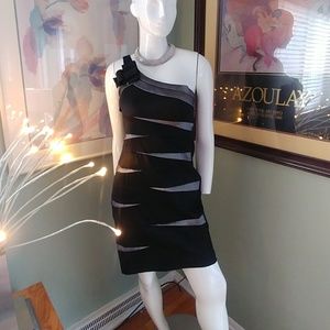 Beautiful Shimmering Dress!